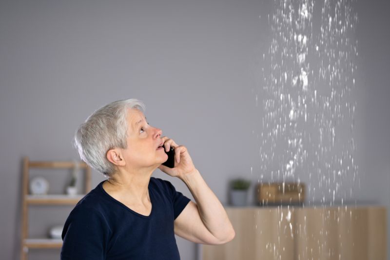 Consultation and Inspection